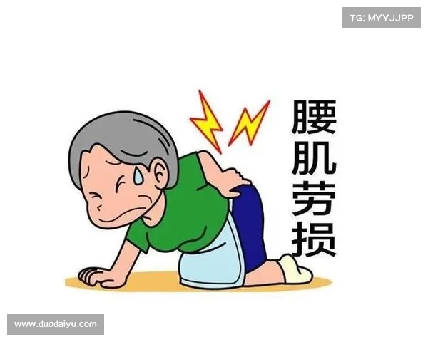 腰部组织在人体健康中的重要性与现代医学研究的进展分析 腰部组织在人体健康中的重要性与现代医学研究的进展分析